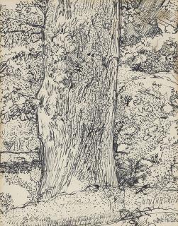 Harold Gilman - Tree