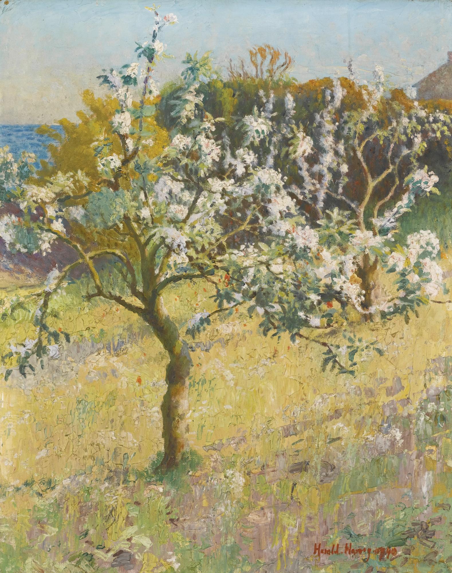 Harold Harvey - Apple Blossom