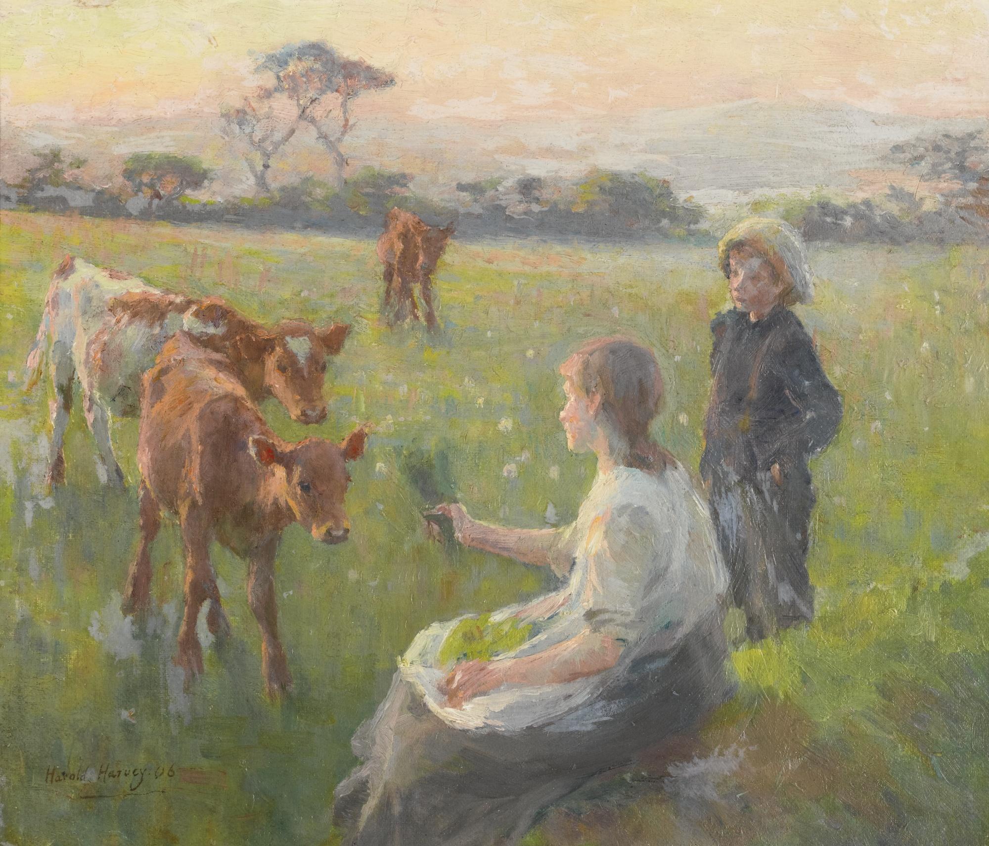 Harold Harvey - Feeding The Calves