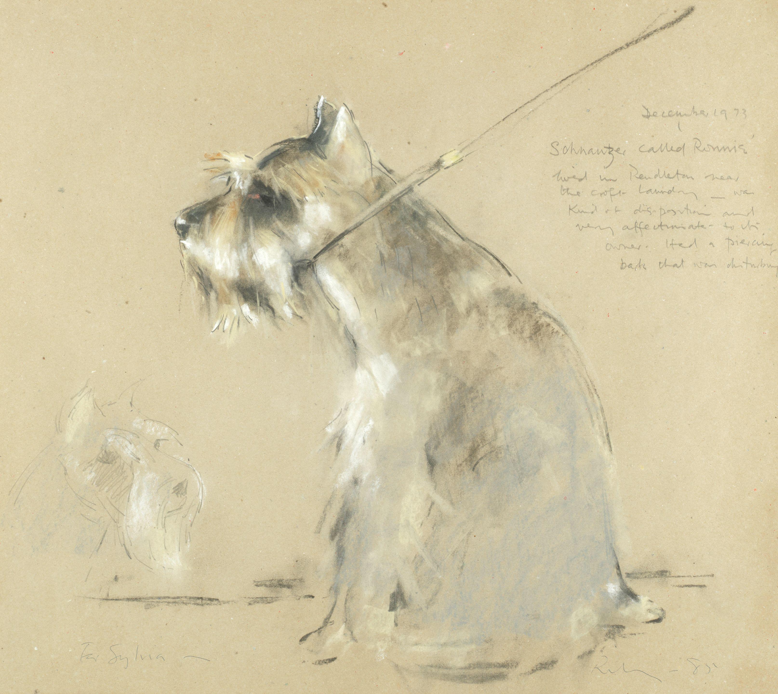 Harold Riley - Schnauzer Called Ronnie