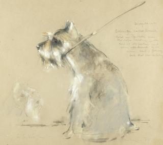 Harold Riley - Schnauzer Called Ronnie