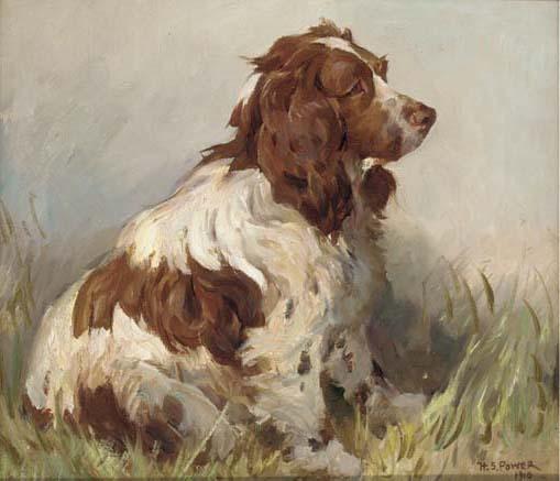 Harold Septimus Power - Bounce, a liver and white springer spaniel