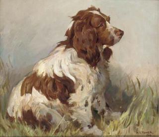 Harold Septimus Power - Bounce, a liver and white springer spaniel