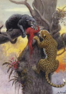 Harrington Bird - A challenge