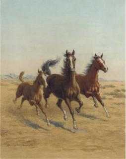 Harrington Bird - Running Free