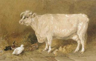 Harrison William Weir - Cow with ducks in a barn; and A cow and a cat in a barn