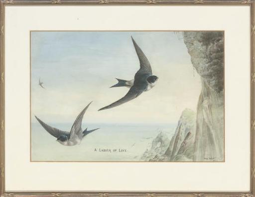 Harry Bright - A labour of love