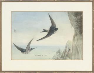 Harry Bright - A labour of love