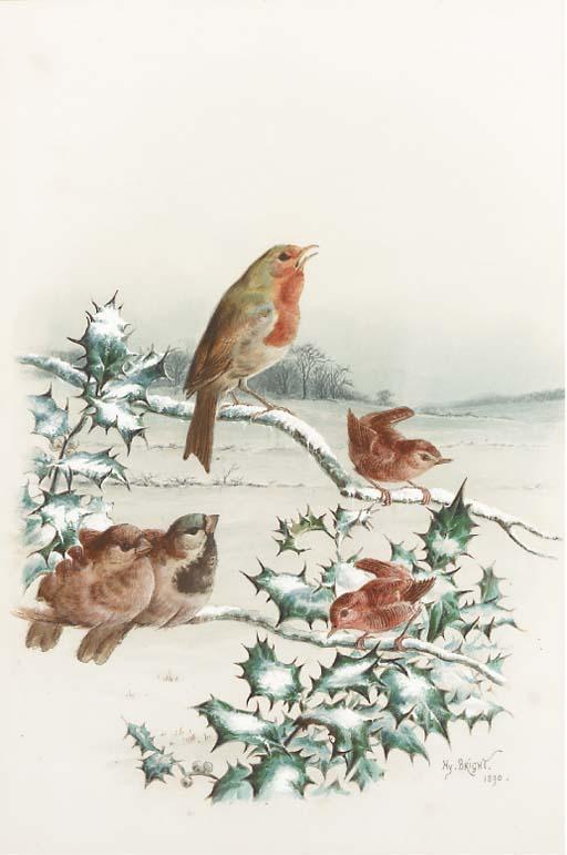 Harry Bright - Finches; and Robins
