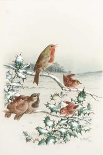 Harry Bright - Finches; and Robins