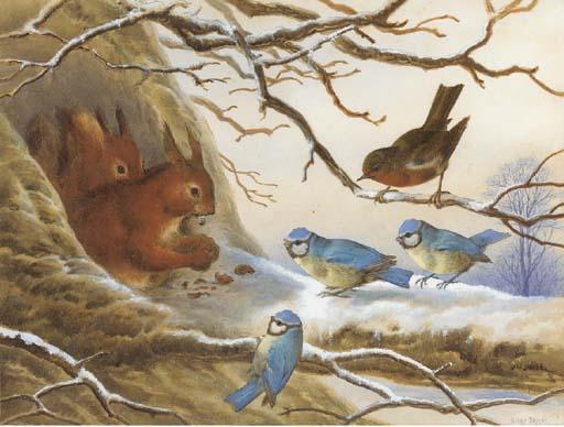 Harry Bright - Red squirrels eating nuts on a snow covered branch before an audience of blue tits and a robin