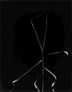 Harry Callahan - Aix-en-Provence (1958)