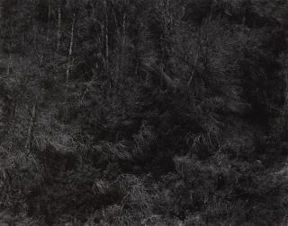 Harry Callahan - Aix-en-Provence, France