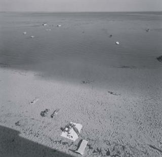 Harry Callahan - Cape Cod, 1972