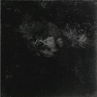 Harry Callahan - Cape Cod