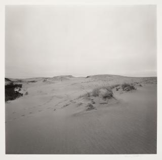 Harry Callahan - Cape Cod