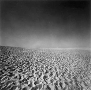 Harry Callahan - Cape Cod
