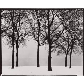 Harry Callahan - Chicago, 1950