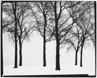 Harry Callahan - Chicago, 1950