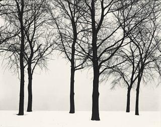 Harry Callahan - Chicago, 1950