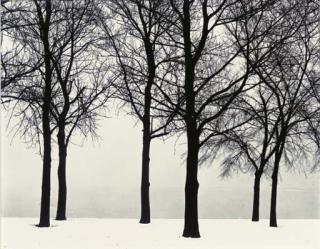 Harry Callahan - Chicago, 1950