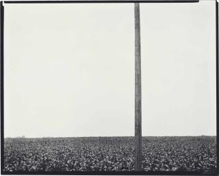 Harry Callahan - Chicago, 1953