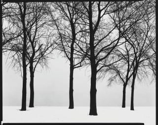 Harry Callahan - Chicago, 1959