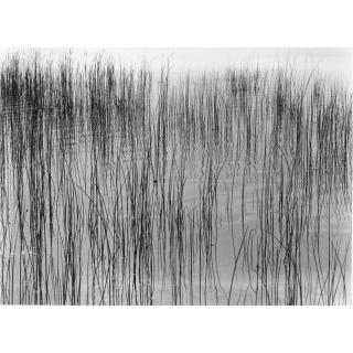 Harry Callahan - Detroit, 1942