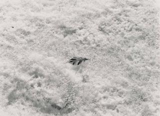 Harry Callahan - Detroit, 1942