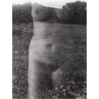Harry Callahan - Eleanor, Aix-En-Provence, 1958Vintage Silver Print, Signed In Pencil Below The Image At Lower Right. Mounted And Framed.