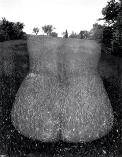 Harry Callahan - Eleanor, Aix-en-Provence, France, 1957-1958