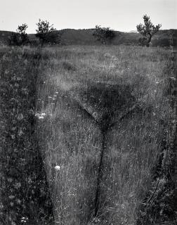 Harry Callahan - Eleanor, Aix-en-Provence, France, 1958