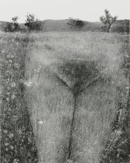 Harry Callahan - Eleanor, Aix-En-Provence