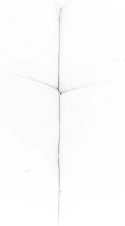 Harry Callahan - Eleanor, Chicago