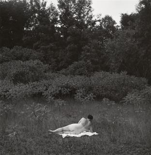 Harry Callahan - Eleanor, Port Huron