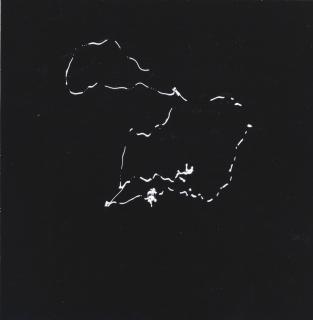 Harry Callahan - Light Study