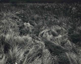 Harry Callahan - Michigan, 1941
