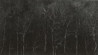 Harry Callahan - New Hampshire