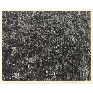 Harry Callahan - Port Huron, Michigan