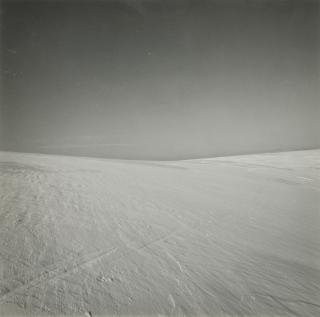 Harry Callahan - Selected Images (Cape Cod)