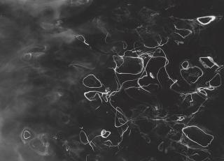 Harry Callahan - Sunlight on Water, 1943