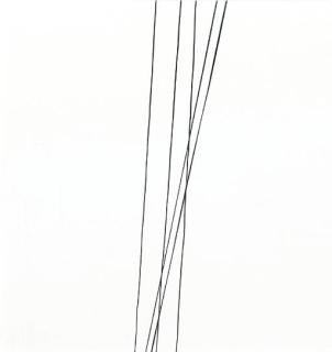 Harry Callahan - Telephone Wires, c. 1962