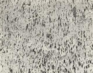 Harry Callahan - Wall, Chicago, 1957