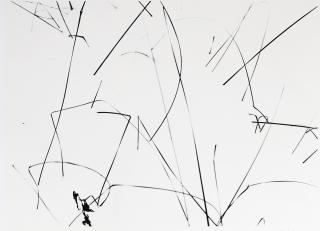 Harry Callahan - Weeds In Snow, 1943Silver Print, Printed Later. Signed In Pencil On Recto And On The Reverse. Mounted And Framed.