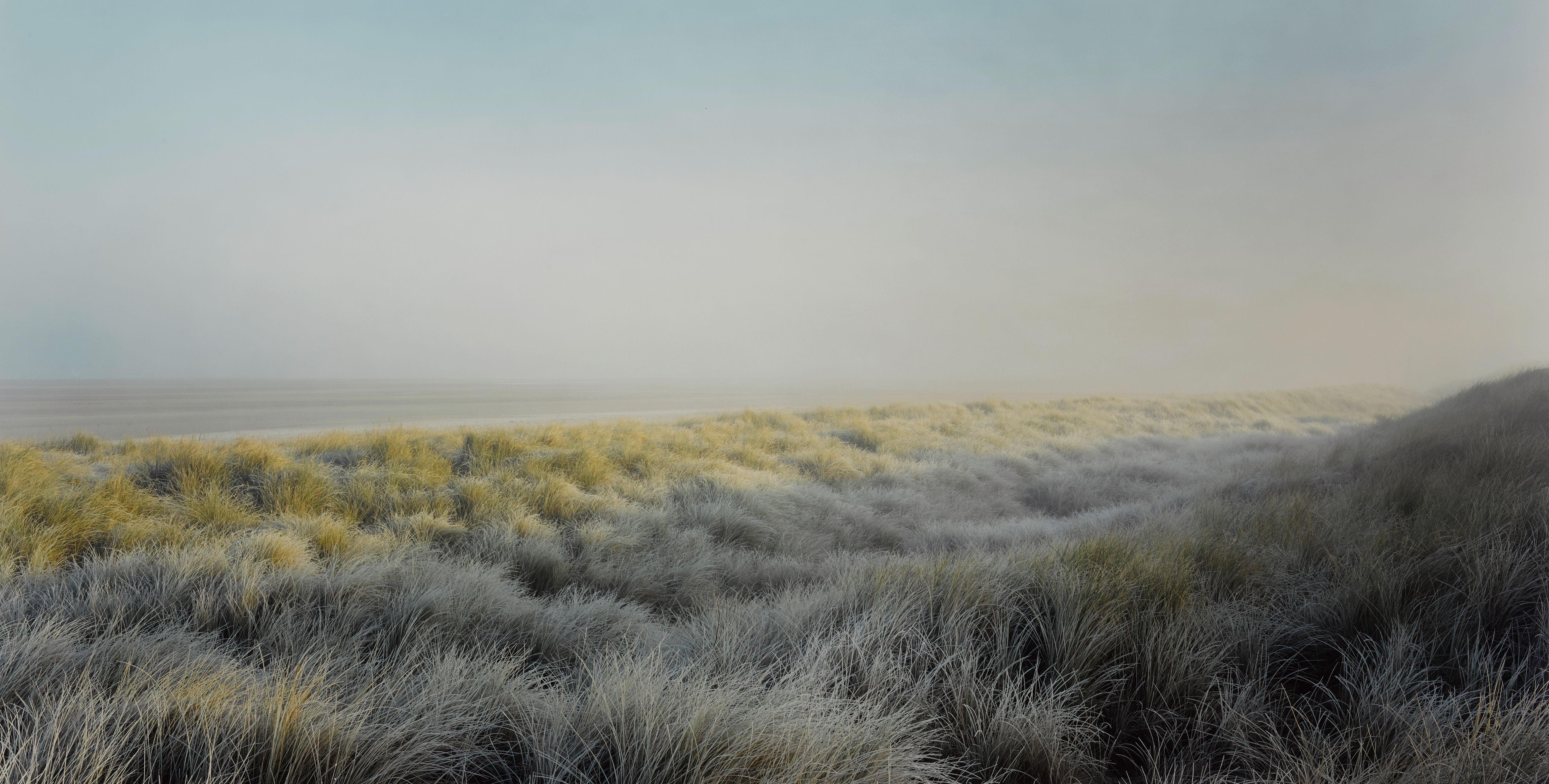 Harry Cory Wright - Frosted Marram