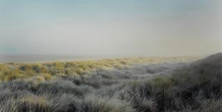 Harry Cory Wright - Frosted Marram