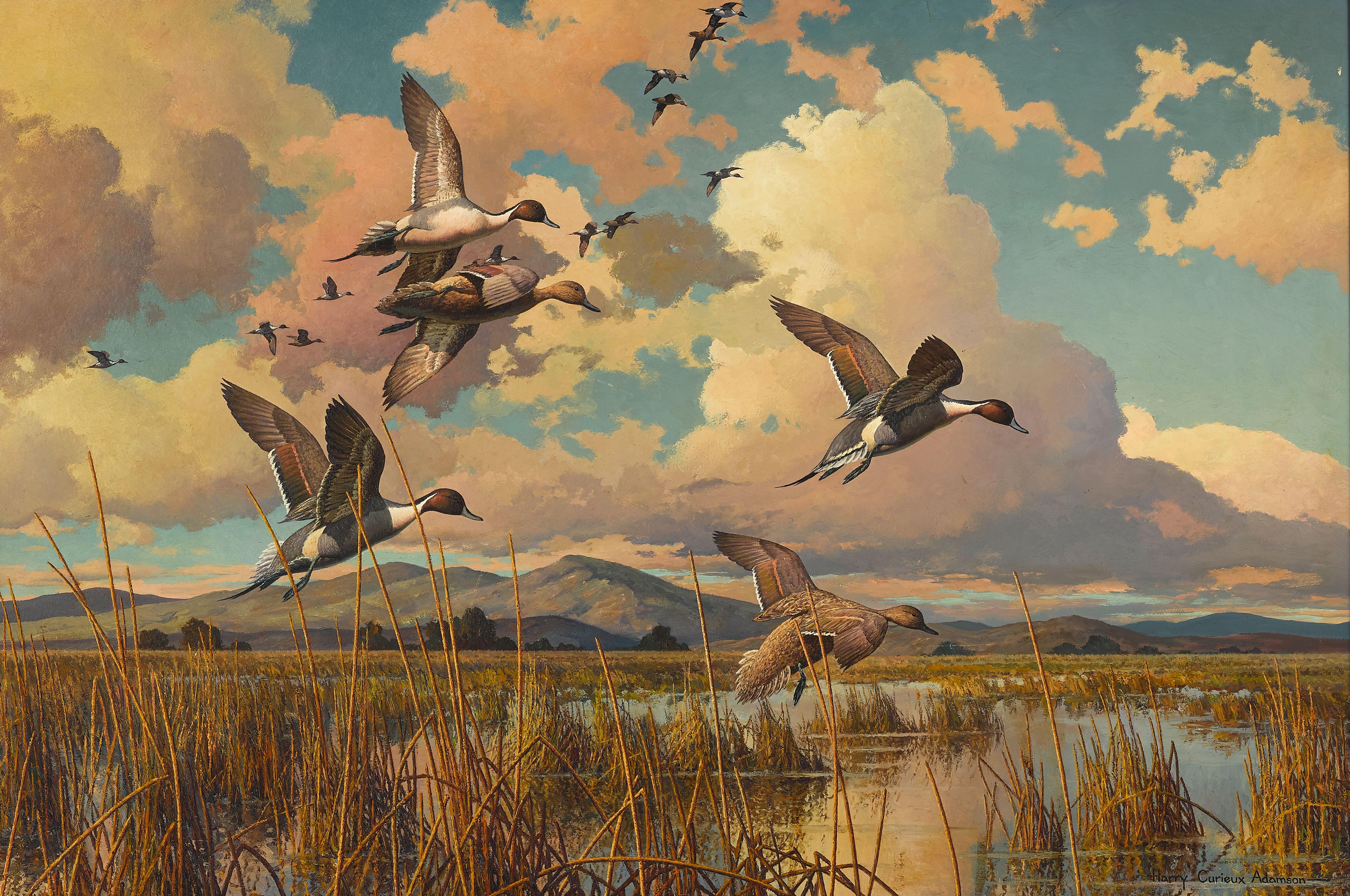 Harry Curieux Adamson - Autumn Prelude - Pintails