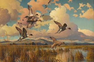 Harry Curieux Adamson - Autumn Prelude - Pintails