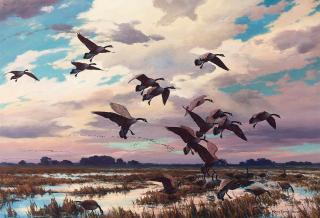 Harry Curieux Adamson - Canada Geese, Marsh Landing