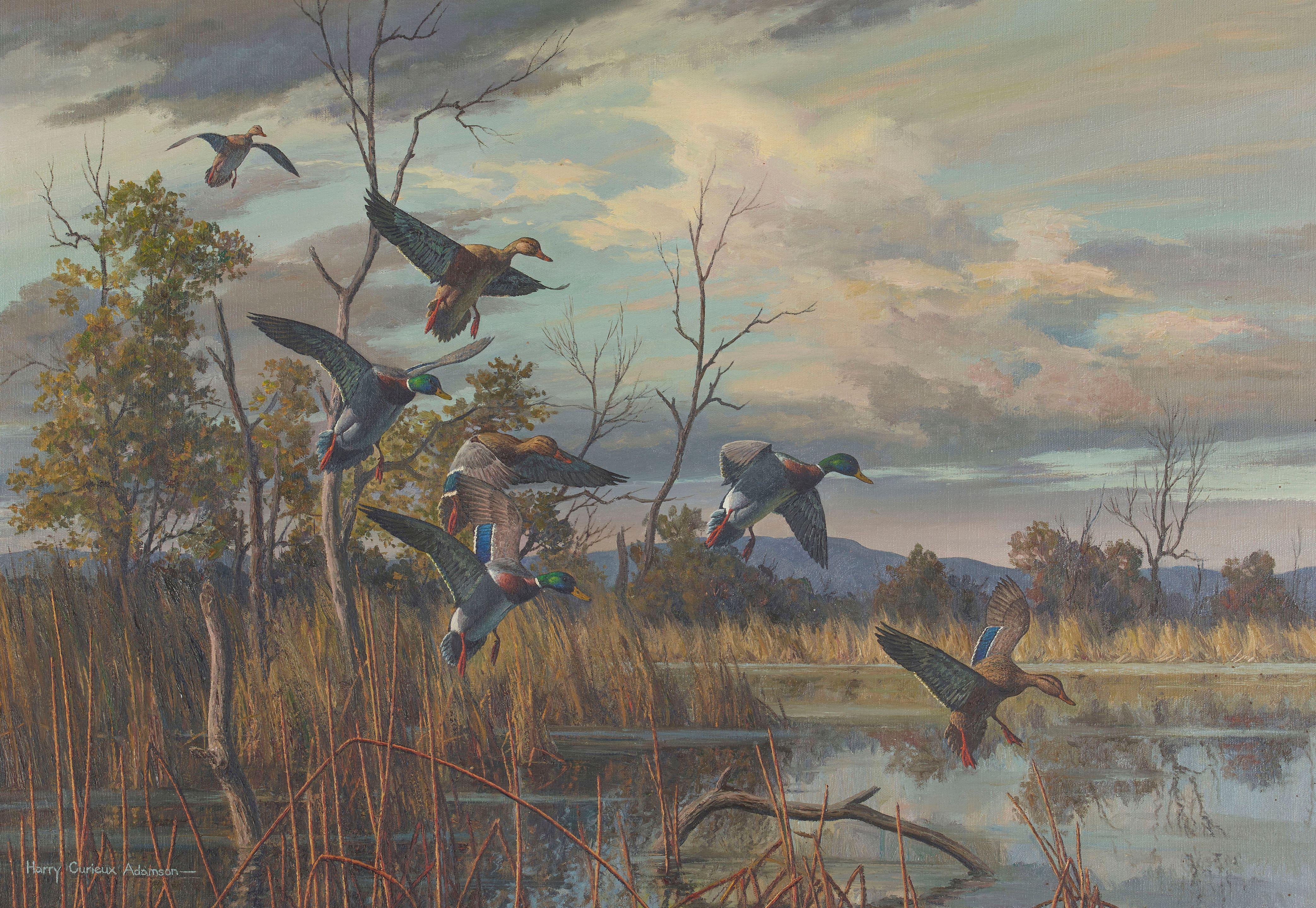 Harry Curieux Adamson - Ducks Landing on a Pond